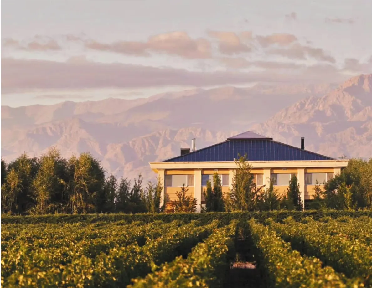 Mendoza: O Encanto Entre Vinhedos e Cordilheiras
