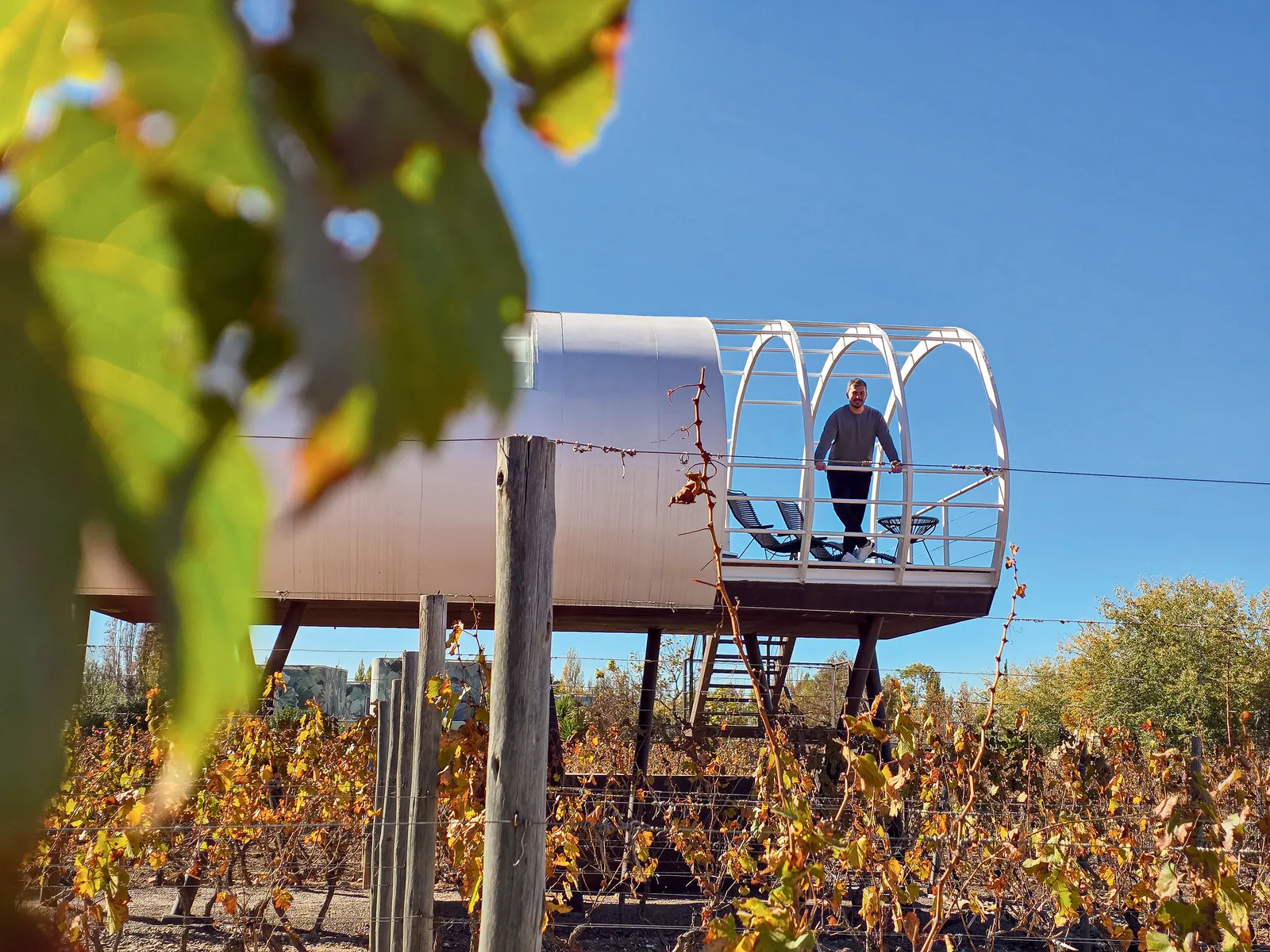 Mendoza: o encanto entre vinhedos e cordilheiras