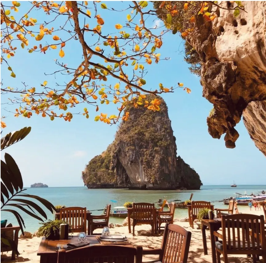 Um Jantar Dentro da Natureza